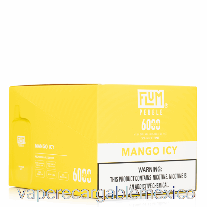Vape Recargable [paquete De 10] Flum Pebble 6000 Desechable